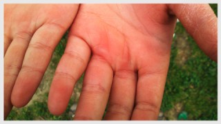 つよくなった手